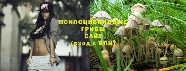 эйфоретик Абинск