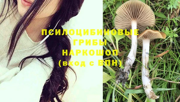 спайс Саяногорск