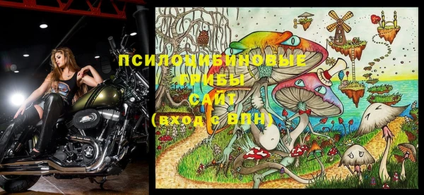 мескалин Абаза