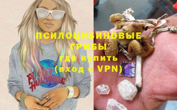 марки nbome Инсар