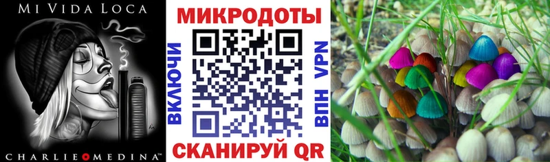 Галлюциногенные грибы прущие грибы  Зарайск 